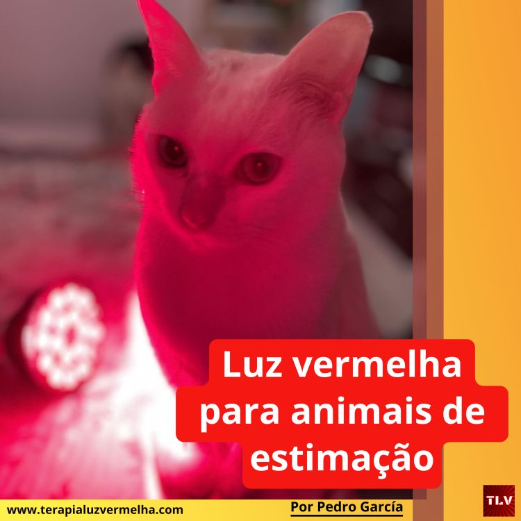 Luz vermelha para animais de estimação